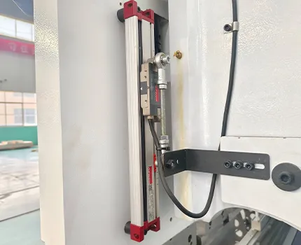 مسطرة شبكية